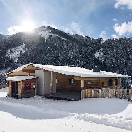 Alpenparks Chalet & Apartment Steve Lodge Viehhofen Exterior foto